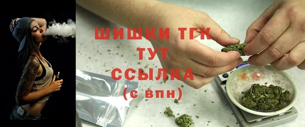mdpv Богородск